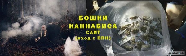 не бодяженный Гусев