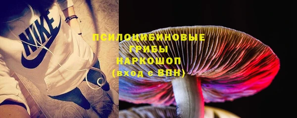 не бодяженный Гусев