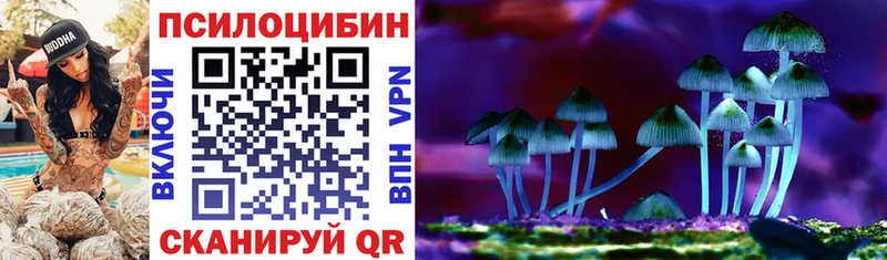 Купить закладки Сосенский Псилоцибиновые грибы прущие грибы